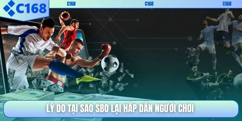 Lý do tại sao SBO lại hấp dẫn người chơi